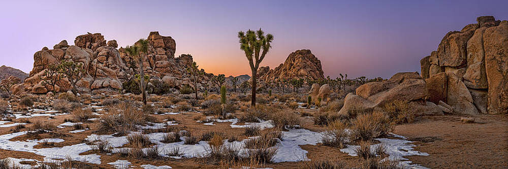 Winter Wall Art featuring the photograph Joshua Tree Dusk Panorama by Kelley King