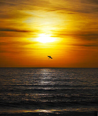 Wall Art featuring the photograph Just One More by Joe Schofield