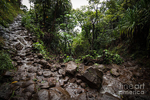 Wall Art featuring the photograph Kalalau Trail Na Pali Coast by Blake Webster
