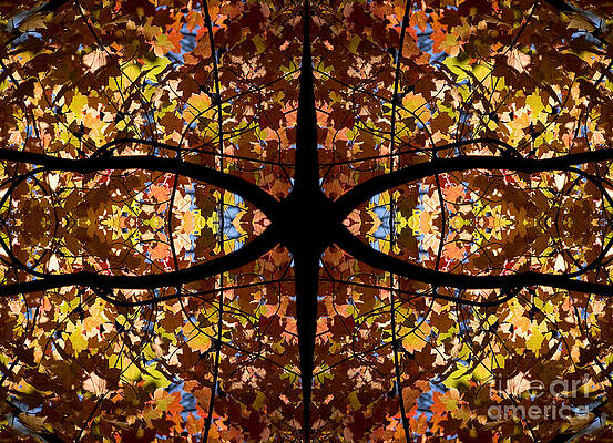 Reflection Photograph - Kaleidoscope by Steven Ralser