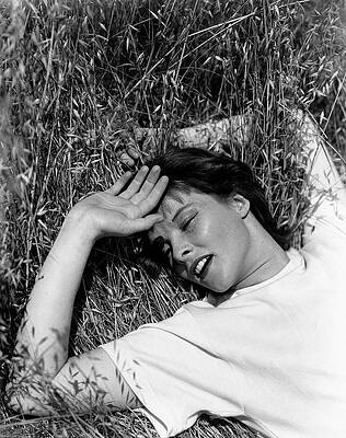 Close Wall Art featuring the photograph Katharine Hepburn Lying Down In The Grass by George Hoyningen-Huene