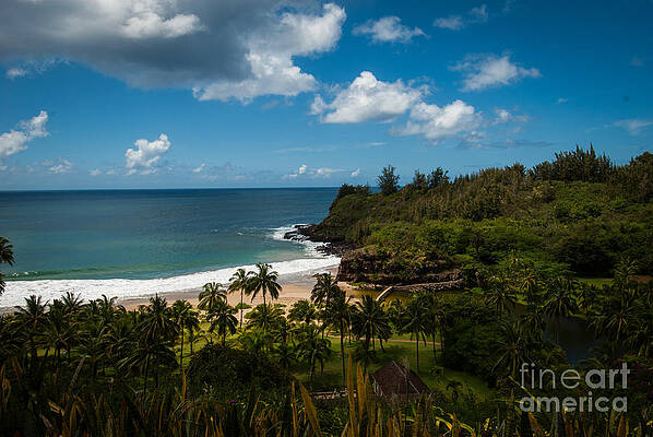Wall Art featuring the photograph Kauai South Shore Jungle by Blake Webster