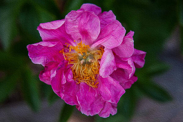 Summer Painting - Keeper Of The Light by Omaste Witkowski