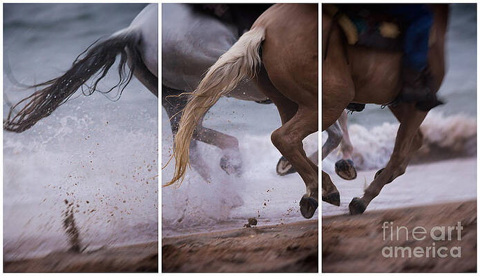 Wall Art featuring the photograph Kicking Up The Sand by Mary Lou Chmura