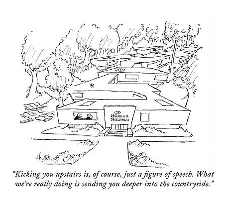 Professional Drawing - Kicking You Upstairs by Sidney Harris