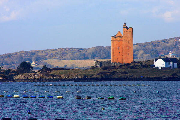 Cork Photograph - Kilcoe Castle by Mark Callanan