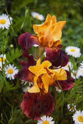 Summer Painting - Kissing Sunshine by Omaste Witkowski