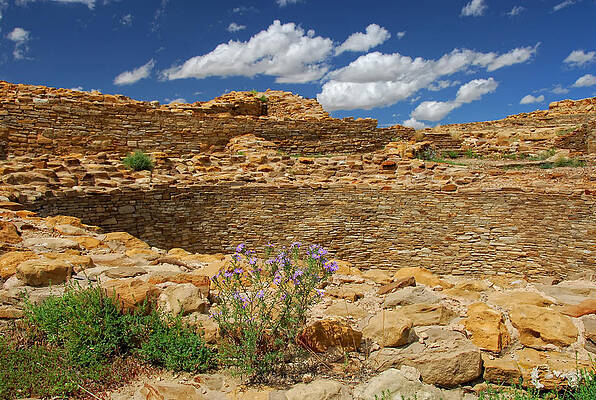 Sacred Wall Art featuring the photograph Kiva Flowers by Ghostwinds Photography
