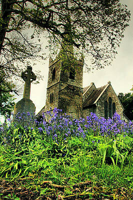Wall Art featuring the photograph Knockainey Bluebell Church by Mark Callanan