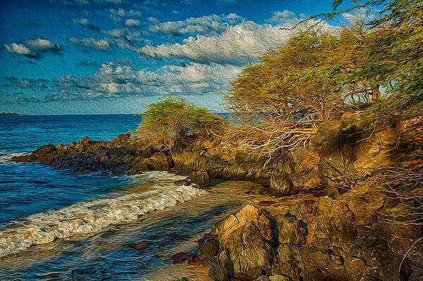 Wall Art featuring the painting Kohala Coast Inlet by Omaste Witkowski