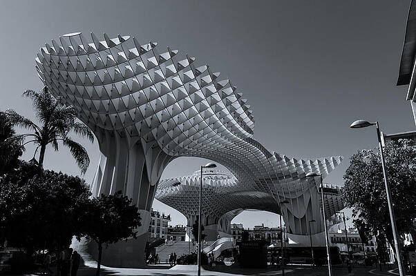 Architecture Photograph - Las Setas - Metropol Parasol by AM FineArtPrints