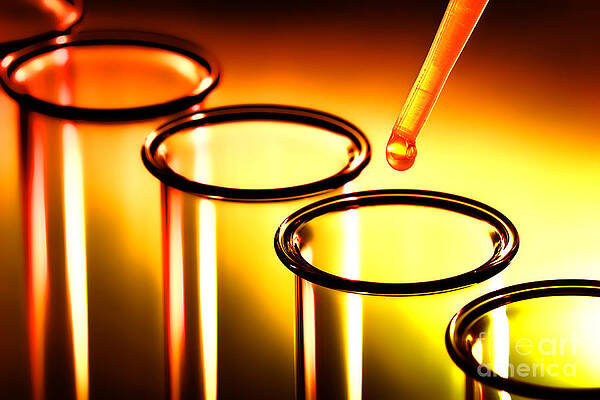 Laboratory Test Tubes in Science Research Lab by Science Research Lab