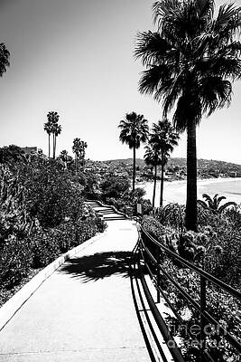 California Wall Art featuring the photograph Laguna Beach Heisler Park In Black And White by Paul Velgos