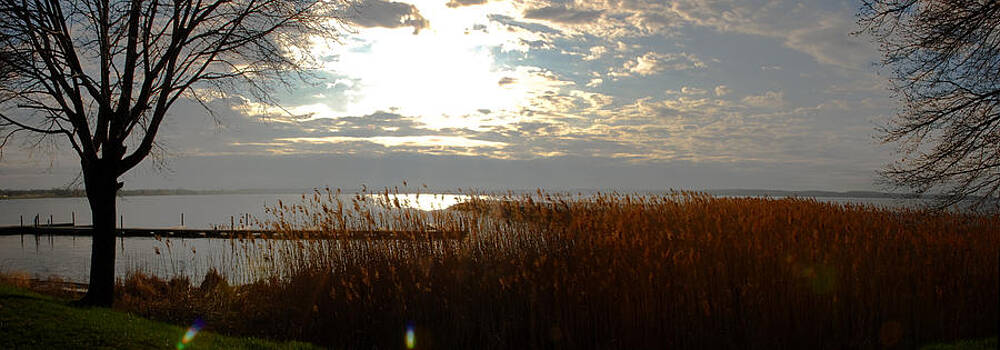 Wall Art featuring the photograph Lake Seneca by Gary Wightman