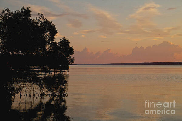 Sunrise Photograph - Lake Sunrise by William Norton