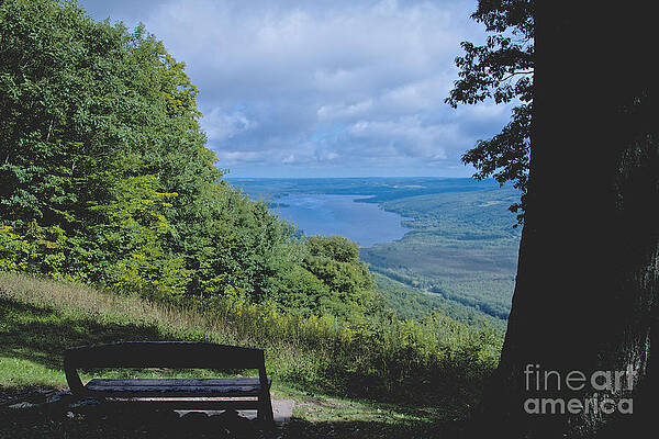 Finger Lake Photograph - Lake Vista by William Norton