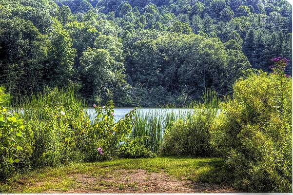 Water Photograph - Lakeside by Jonny D