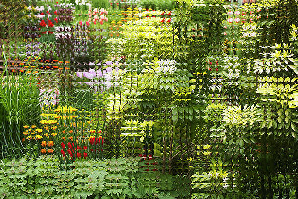 Wall Art featuring the photograph Landscape Of Discontinuous Pattern by Hiroshi Watanabe
