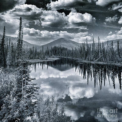 Wilderness Reflection in Monochrome Wall Art