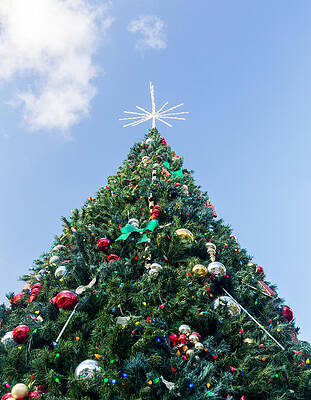 Modern Wall Art featuring the photograph Large Decorated External Christmas Tree by Steven Heap