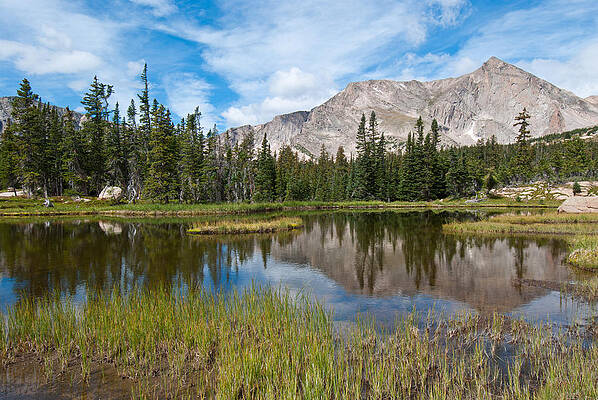 Rocky Mountain National Park Photograph - Late Summer In The Colorado Rocky Mountains by Cascade Colors