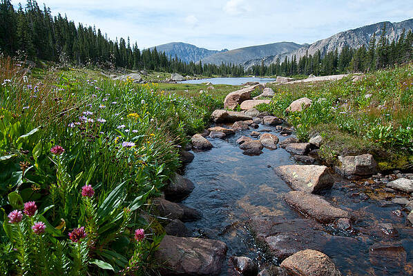 Rocky Mountain National Park Photograph - Late Summer Mountain Landscape by Cascade Colors