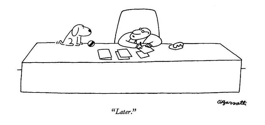 Dog and Frog at the Desk Drawing