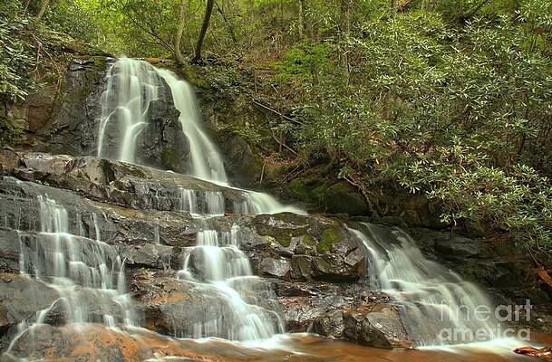 Mountain Wall Art featuring the photograph Laurel Falls Landscape by Adam Jewell