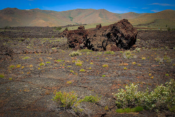 Idaho Wall Art featuring the photograph Lava Rock by Carla E