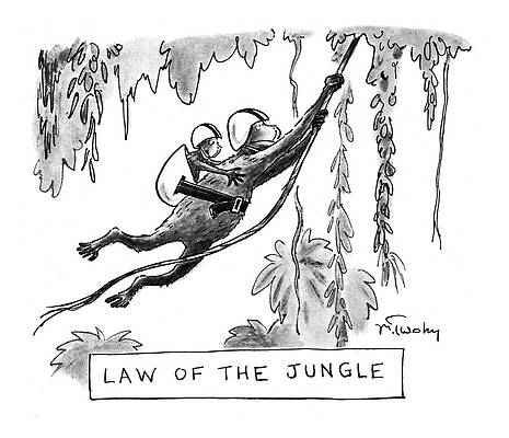 Swing Wall Art featuring the drawing Law Of The Jungle by Mike Twohy