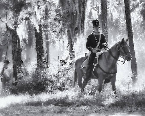 Florida Photograph - Leader Of The Pack by Ghostwinds Photography