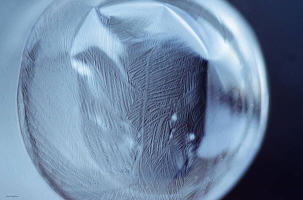 Wall Art featuring the photograph Frozen Bubble Leaf Pattern by Crystal Wightman