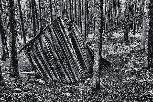Montana Wall Art featuring the photograph Lean To by Ghostwinds Photography
