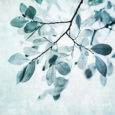 Dusty Blue Leaves on Branch Wall Art