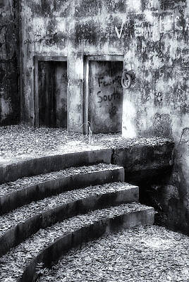 Forsake Wall Art featuring the photograph Leaves Of The Past by Ghostwinds Photography