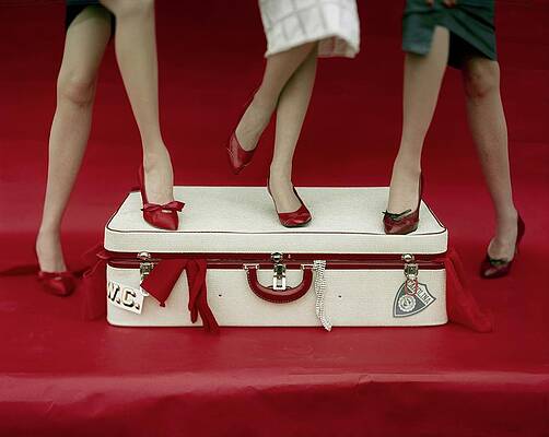 Retro Fashion Suitcase Display Wall Art