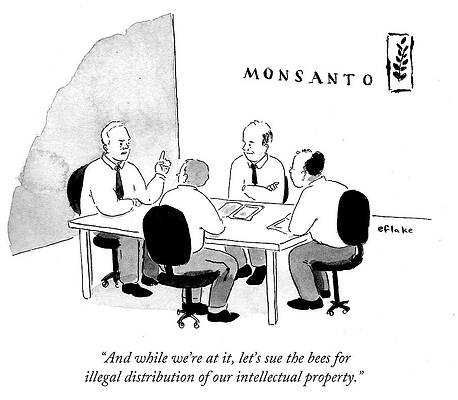 Bee Wall Art featuring the drawing Let's Sue The Bees by Emily Flake