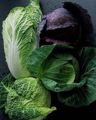 Variety of Fresh Cabbage Photograph