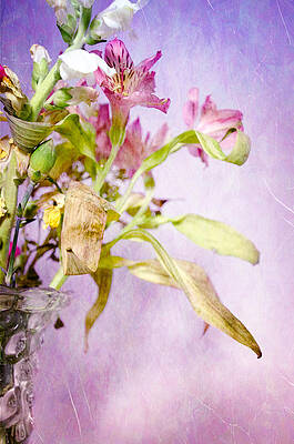 Love Photograph - Life And Death Flowers by Crystal Wightman