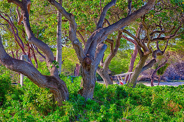 Wall Art featuring the painting Lifeguarding Trees by Omaste Witkowski