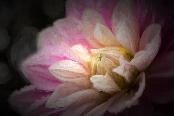 Love Wall Art featuring the photograph Light From Within by Mary Jo Allen