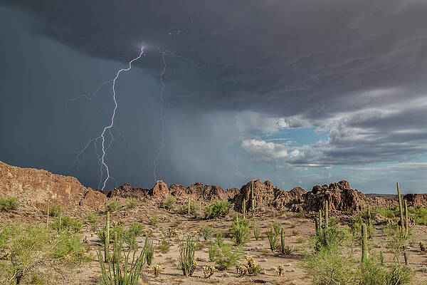 Lightning Wall Art for Sale by Science Photo Library