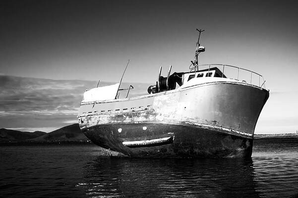 Water Wall Art featuring the photograph Like Stardust by Mark Callanan