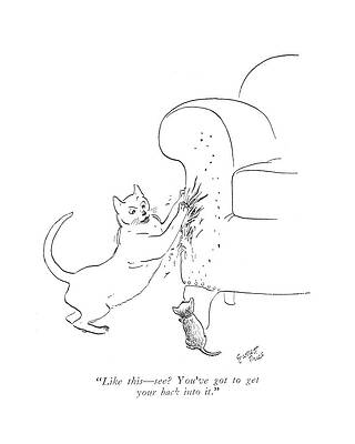 Cats Scratching Sofa Drawing