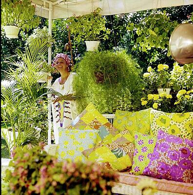 Vibrant Garden Oasis with Floral Cushions Photograph