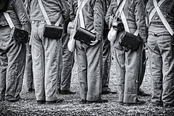 Florida Photograph - Lined Up And Ready by Ghostwinds Photography