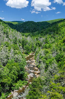 Blue Photograph - Linville River by David Hart