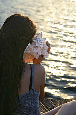 Listening to the Ocean Wall Art