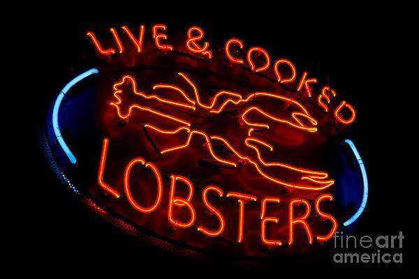 Wall Art featuring the photograph Live And Cooked Lobsters Old Neon Light Store Sign by Olivier Le Queinec