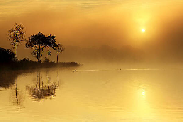 Reflection Wall Art featuring the photograph Loch Ard Morning Glow by Grant Glendinning